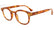 Tortoiseshell eyeglasses on a white background
