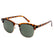 Civic Tortoise/Brown sunglasses