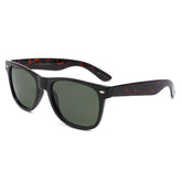 Edge Black/Tortoise sunglasses