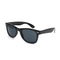 Edge Black sunglasses