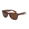 Edge Tortoise sunglasses