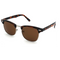 Summit Tortoise sunglasses